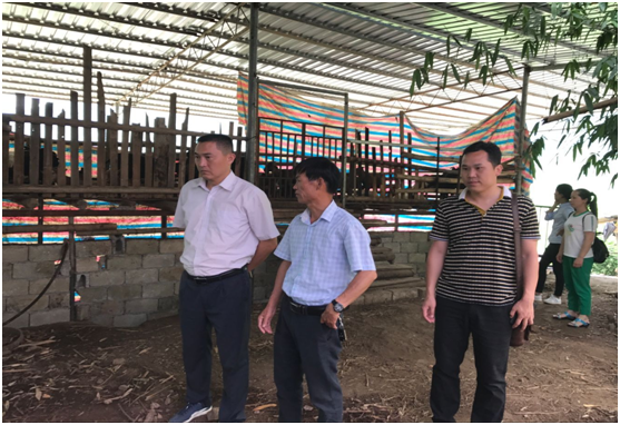 1497347716141832.png 2.png