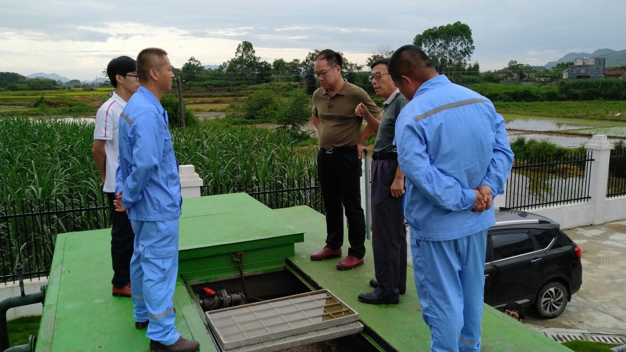 1533311632531700.jpg 2.jpg