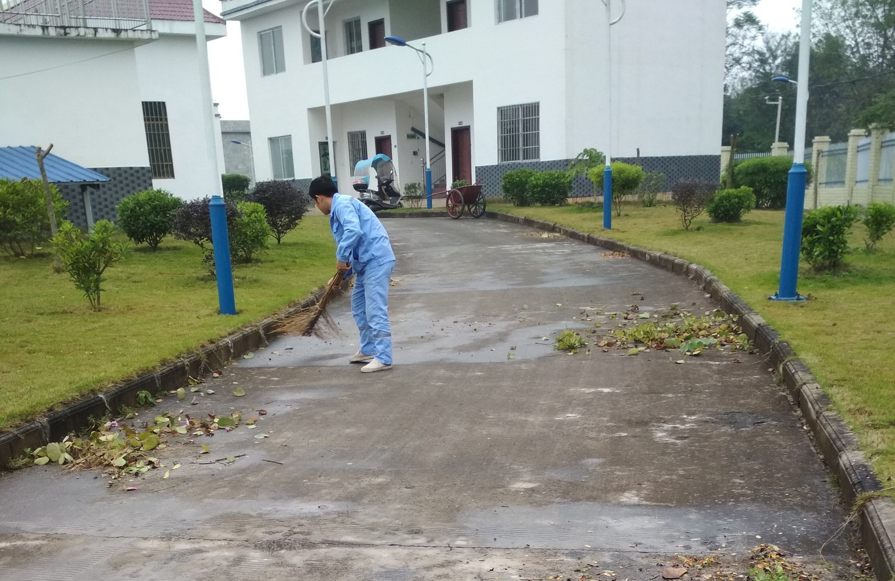 1545993680857881.jpg clip_image001.jpg