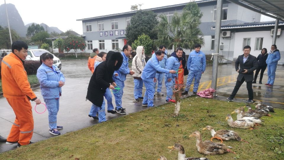 1550659096803403.jpg 1.jpg