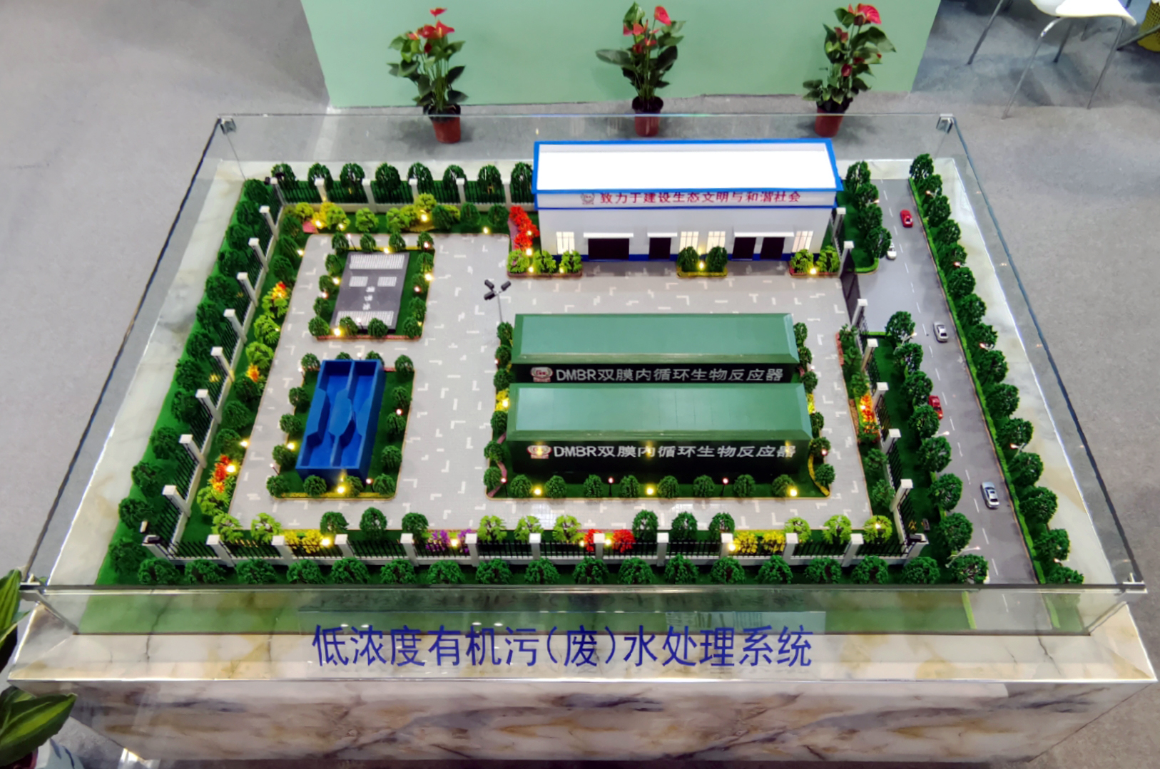 1558420147105681.jpg 17.jpg