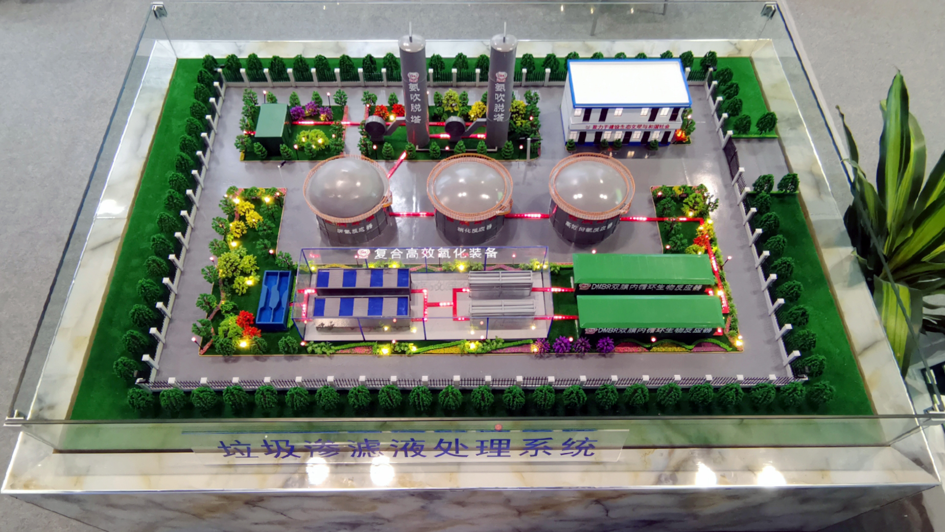 1558420175101081.jpg 15.jpg