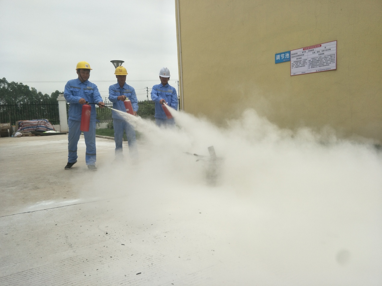 1559131877356948.jpg 2.jpg