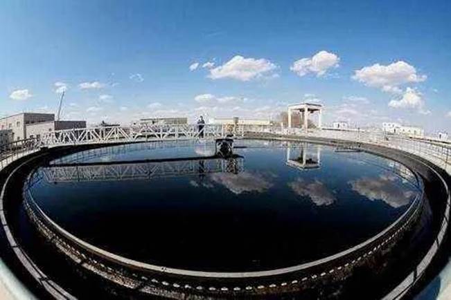 1626835097121530.jpg 1