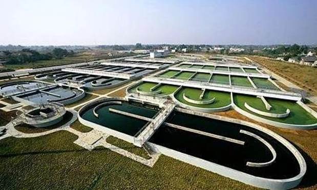 1626835148863647.jpg clip_image004.jpg